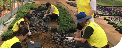 의미없는이미지