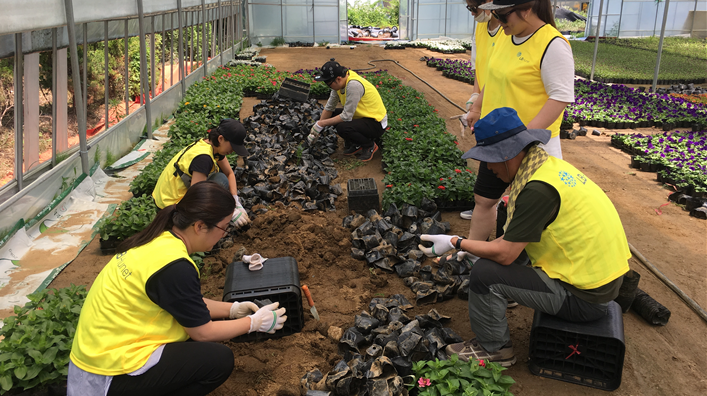 자원봉사이미지