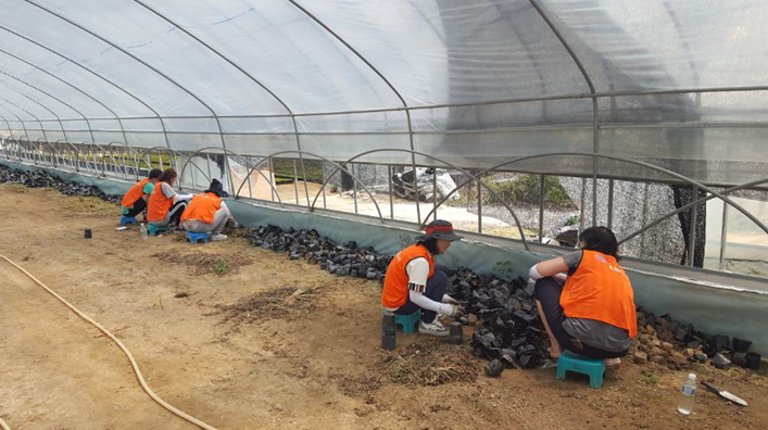 자원봉사이미지