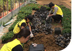 농촌사랑 일손돕기