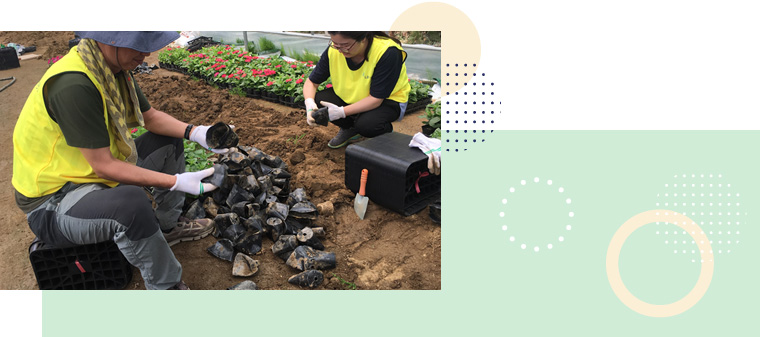 의미없는이미지