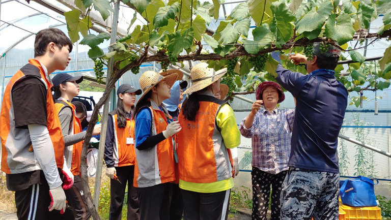 자원봉사이미지