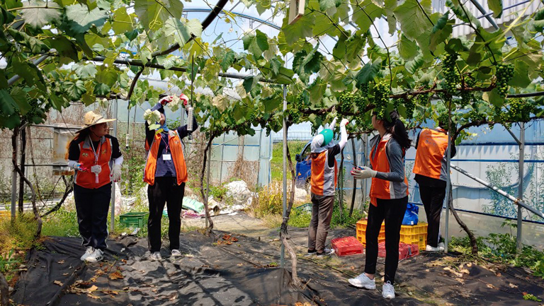 자원봉사이미지